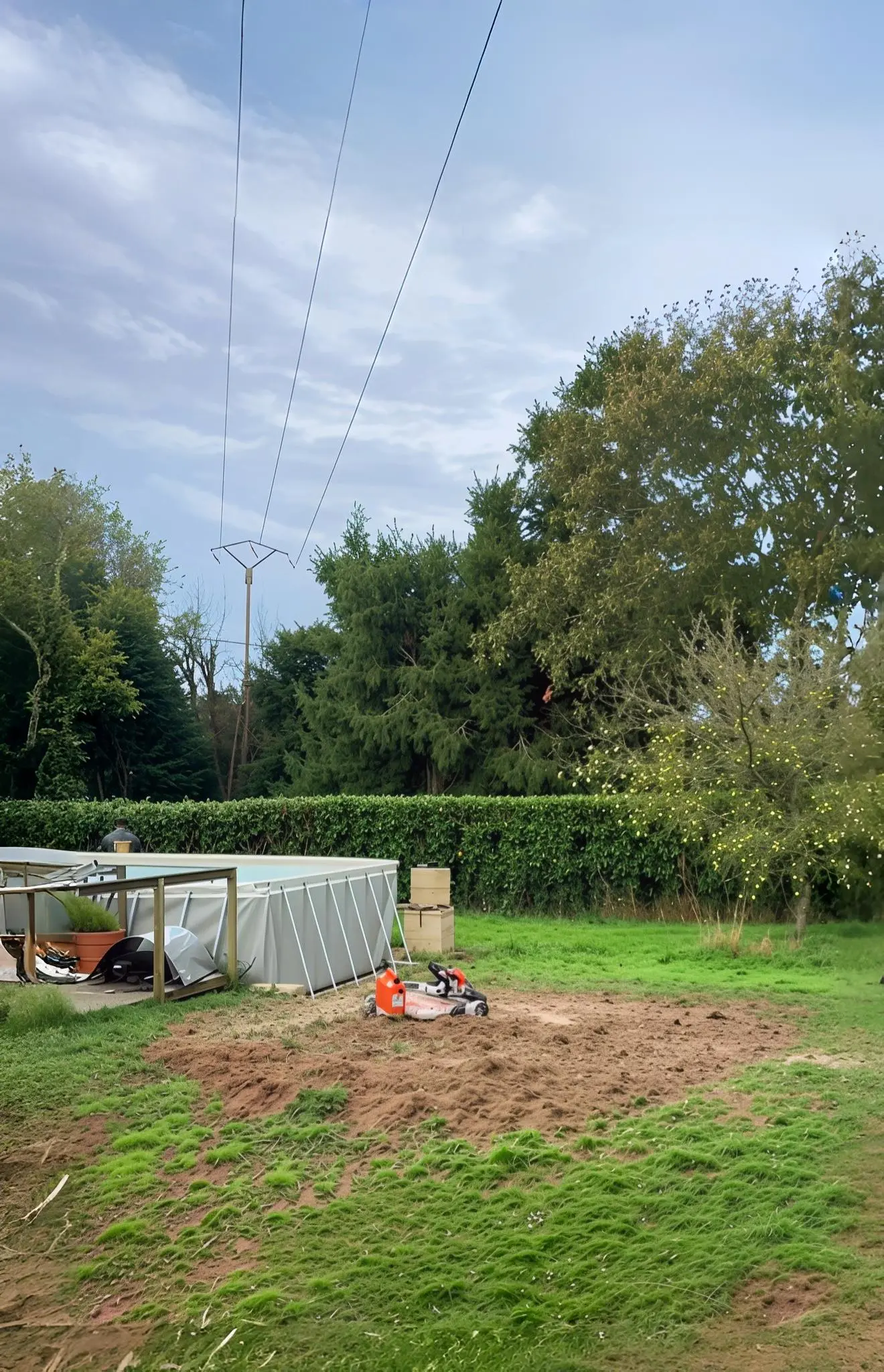 Abattage de grand conifère à Cherbourg - Après